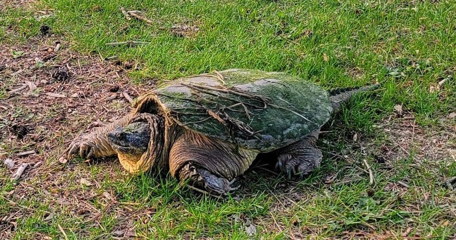 Fastest player at Bunker Hills